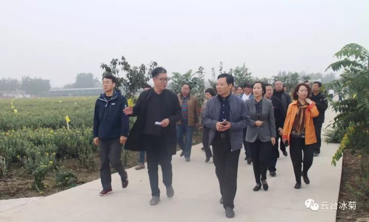 云臺冰菊基地發(fā)生了什么？一批批領導專家團隊前來！