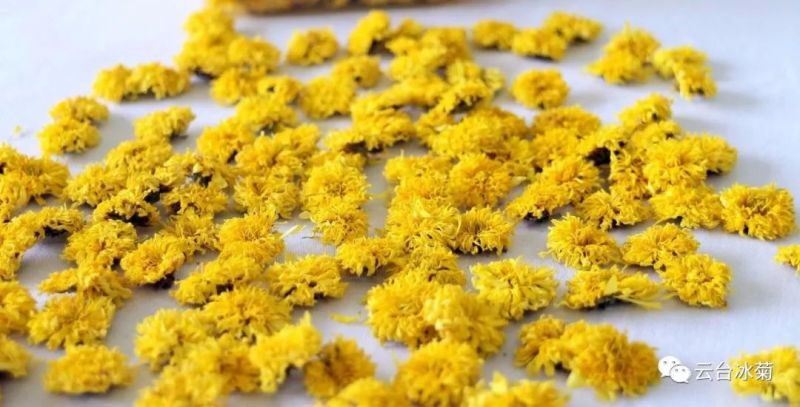 2018，種下希望，靜待花開！